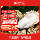 鲜京采  鲜活乳山生蚝5XL 净重5斤 9-12只 鲜活到家  源头直发 中秋家宴