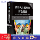 奈特人体解剖学彩色图谱 第八版 第8版 人民卫生出版社旗舰店翻译新版临床医学外科学教材书局部系统解刨学书籍19全身正常医学实用动态局解全彩图谱2023 奈特人体解剖学彩色图谱，第8版