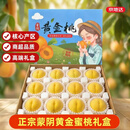 京地达山东蒙阴黄桃净重4.5斤礼盒单果约145g蜜桃新鲜水果桃子源头直发
