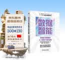 数据智能：数据分析师的AI转型升级指南