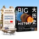 DK大历史 DK BIG大历史 从宇宙大爆炸到我们人类的未来 138亿年的非凡旅程 2023年新版 大卫克里斯蒂安著 中信出版社