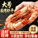【到手50只】大号烤虾干即食烤虾干虾开袋即食特大虾干孕妇零食 大号烤虾干【整箱45-55只】活虾现烤 不腥不咸 （特AAA品质）即食炭烤虾干【0添加剂】孕妇零食500g