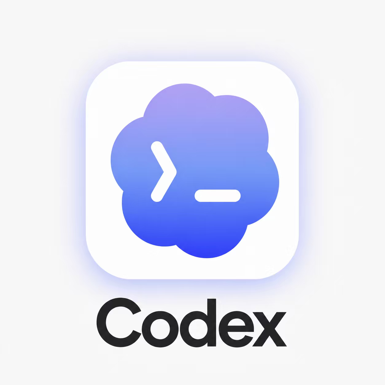 Ai编程工具Code Pro5x套餐订阅直充｜自己账号