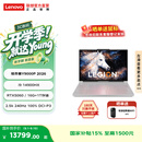 联想（Lenovo）拯救者Y9000P 2026 16英寸电竞游戏本笔记本电脑 i9 14900HX 16G 1T RTX5060白