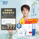 碧然德(BRITA)滤水壶滤芯 Maxtra+多效滤芯12只装 过滤器净水器 家用净水器滤芯 可滤水150L