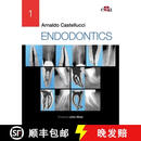 预订 精装 ENDODONTICS - 2 Volume Set