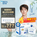 碧然德（BRITA）滤水壶滤芯 Maxtra+多效滤芯6只装 过滤器净水器滤芯 碧然德滤芯 可滤水150L