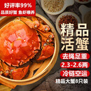 【活蟹】湖鲜阳澄 大闸蟹 去绳足重 2.3-2.6两 8只 鲜活六月黄现货超大螃蟹生鲜礼盒装