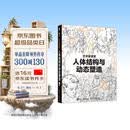 人体结构与动态塑造 艺术家课堂 数艺社出品