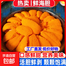 大连海胆鲜活现剥海胆肉刺身生吃生鲜黄虾夷马粪海胆净重 海胆1盒【100g/盒】