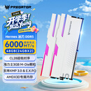 宏碁掠夺者（PREDATOR）48G(24G×2)套装 DDR5 6000频率 台式机内存条 Hermes冰刃系列 RGB灯条(C28) 白色 AI电脑配件