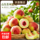 【东东农场专供】山东正宗青州蜜桃生鲜水果当季新鲜现摘 4斤【净重3.6斤+】 果王