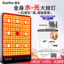 SEAYEO昔又大排灯Max光子嫩肤美容仪红蓝光面罩面膜仪家用美容仪器 Max