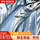 带鱼特大号特宽整条冷冻舟山宁波海域深海黄眼带鱼海钓野生刀鱼 海钓带鱼【整箱约7-10条装】整条发货 顺丰冷链上门【船冻锁鲜】好鱼不切段（整箱3.5-4斤）