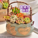 绿荫巷子教师节伴手礼多肉植物组合盆栽陶瓷花盆肉肉办公室内桌面水果图案 教师节【蓝色陶瓷提篮】8颗随机不重复