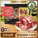 鲜京采惠选 巴西原切牛腩块净重净重4斤 炖煮红烧