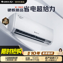格力空调 天仪Pro 大1匹新一级能效 【外机7㎜单排铜管】 变频卧室节能省电空调挂机KFR-26GW/NhGt1BGj