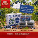 京鲜生【6盒装】云南脆甜大蓝莓 特大果22mm+起 约125g/盒 中秋水果礼盒