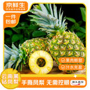 京鲜生云南西双版纳黑钻凤梨 中果净重5斤单果1kg+菠萝手撕凤梨源头直发