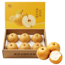 【礼盒】莱阳老树秋月梨6粒3kg