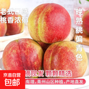 【秋冬桃王】山东青州水蜜桃青州蜜桃老式桃子水果软硬两吃 【老式桃子】4-8粒大果青州蜜桃