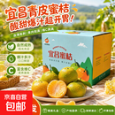 宜昌蜜桔青皮蜜橘现摘蜜桔生鲜水果彩箱礼盒装家庭实惠装酸甜多汁 带箱4斤净重3.7斤彩箱礼盒-家庭实惠装 单果60mm+