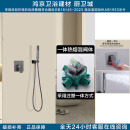 科勒圮茜热熔一体暗装淋浴花洒套装内嵌入墙式单功能手持花洒隐藏式卫生间 单功能 手持花洒（枪灰色）