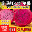 京喜加甄选广西现摘红心火龙果金都一号新鲜水果超甜爆汁 【4粒装】单果200g+