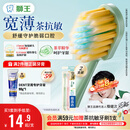 狮王(lion)细齿洁宽薄茶抗敏牙刷2支软毛成年人缓解敏感檀健次同款