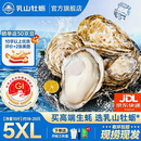 乳山牡蛎鲜活乳山生蚝5XL 净重10斤 18-20只 生鲜海鲜 送礼 源头直发