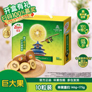 佳沛（zespri）新西兰金奇异果10粒巨大果146-175g猕猴桃中秋节礼品送水果礼盒