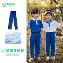 青青世界【特版】深圳校服小学校服小学生夏季薄长裤（男女同款）130