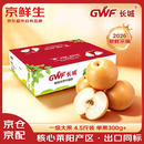京鲜生 长城羊脂秋月梨 净重4.5斤装 大果5-7粒 单果300g+ 应季水果