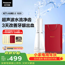 松下小白塔2.0冲牙器成人儿童实用超声波冲洗洁牙器水牙线牙结石生日七夕情侣送男女友礼物EW1520