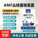 金必莱内生菌根真菌微生物菌剂内生菌根菌生根共生菌异形根孢囊霉 50g*50袋