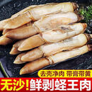 【到手5袋】 特大蛏王肉新鲜无沙蛏子肉竹节蛏圣子肉鲜活带膏带黄 特大号蛏王肉【5袋】去壳净肉，带黄带膏 无沙无泥【新鲜现剥】冷链发货300g/袋