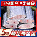 【到手5袋】顺丰特大带鱼段活切带鱼纯中段新鲜速冻去头去尾东海 精品带鱼段【整箱5大袋】去头去尾 只留中段 开海新货上市【野生海捕】严选品质（整箱1500g）