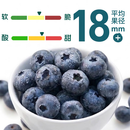 云南高山超大蓝莓125g(18mm)