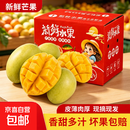 【彩箱礼盒】攀枝花凯特芒四川青黄皮生熟两吃应季新鲜采摘大果 带箱5斤净重4.5斤单果200-400g