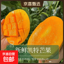 攀枝花 凯特芒 青黄皮 四川甜心芒生熟两吃大芒果当季芒新鲜水果 【彩箱礼盒】带箱6斤净重5.5斤单果200-400g