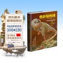 色彩与光线：写实主义绘画指南（珍藏版）（绘客出品）