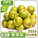 京鲜生安徽砀山青皮青翠蜜梨净重4.5斤单果250g+清凉补水水果 源头直发