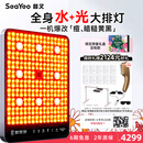 SEAYEO昔又大排灯Max光子嫩肤美容仪红蓝光面罩面膜仪家用美容仪器 Max