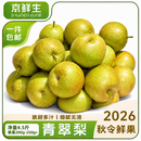 京鲜生安徽砀山青皮青翠蜜梨净重4.5斤单果200-250g+新鲜水果 源头直发