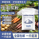 生石灰粉杀虫种菜大棚果蔬抑菌防虫改良酸化土壤减轻重茬病害石粉 生石灰粉杀虫种菜5斤