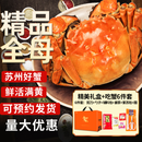 【活蟹】湖中秋色全母大闸蟹3.0-3.3两8只螃蟹鲜活海鲜生鲜水产蟹类礼盒去绳足重