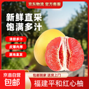 福建琯溪蜜柚红心柚子皮薄爆汁甜柚新鲜时令水果节日整箱 2-3斤（单果净重1-1.5斤）