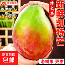 凯特芒大芒果新鲜水果当季整箱云南芒果甜青皮现摘京东包邮 【大果】单果400g+ 【带箱9斤净重8.5斤】超值划算