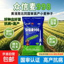 众信麦998小麦种249880粒约25斤国审大穗抗冻抗倒节水抗旱高产麦 5袋(249980粒约25斤*5袋)