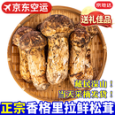 京地达香格里拉新鲜松茸1000g 12cm+出口级 源头直发包邮 中秋送礼佳品